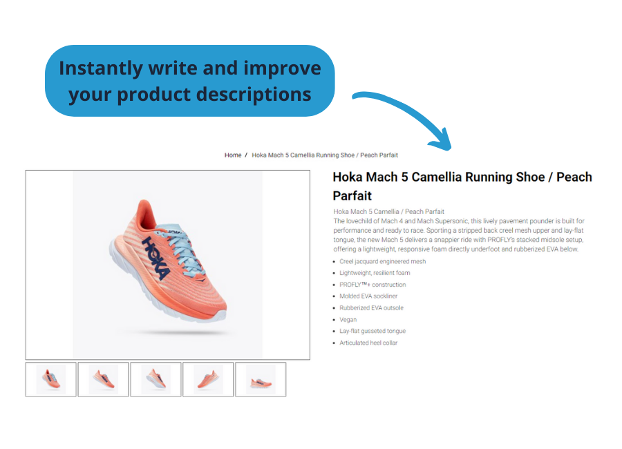 Write ecommerce product descriptions with ShopTill-e AI Content Creator
