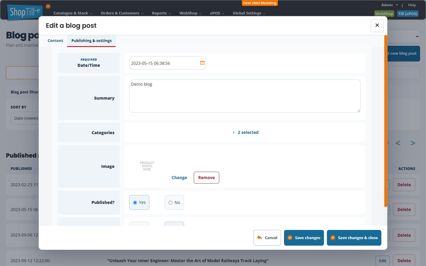 Blog Publishing and settings tab showing Date/Time, Summary, Categories and Image