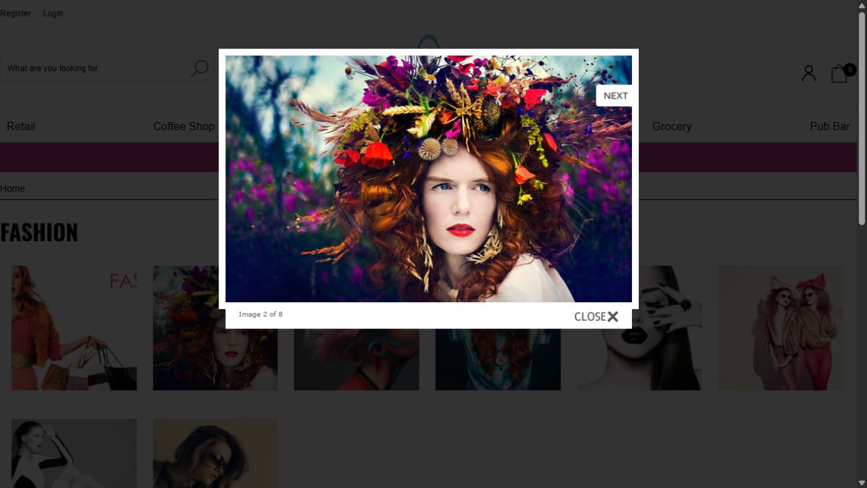 Existing demo Fashion gallery enlarged-image viewer showing Image2of8, a Next control and Close
